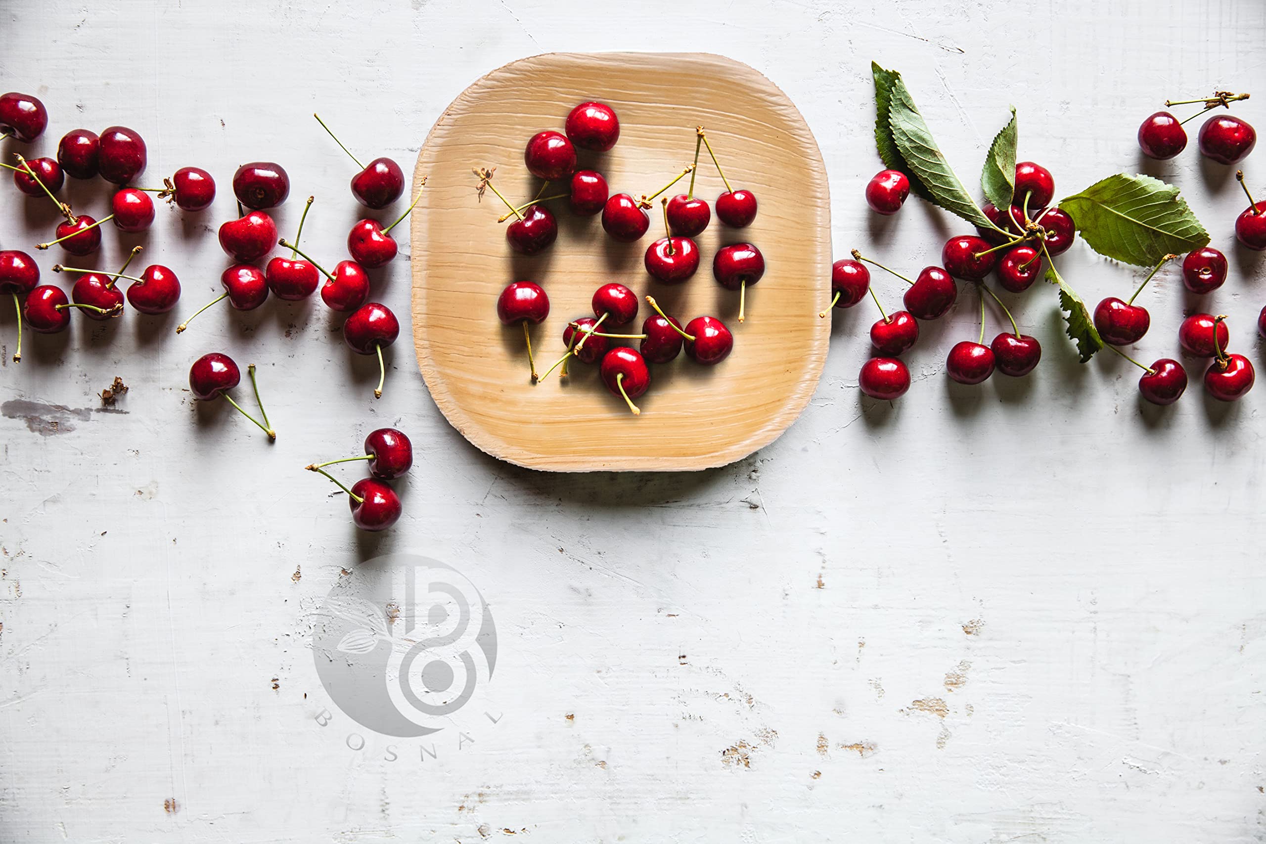 BOSNAL Palm Leaf Plates - MV STORE